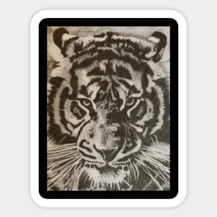 Tiger pencil drawing Sticker